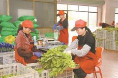 笼盖厦门全市28个批发市场(企